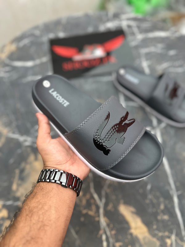 Lacosste slides- Grey (613)